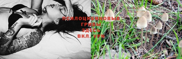 а пвп мука Кукмор