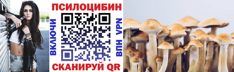 Купить  Старая Русса  Псилоцибиновые грибы мицелий 